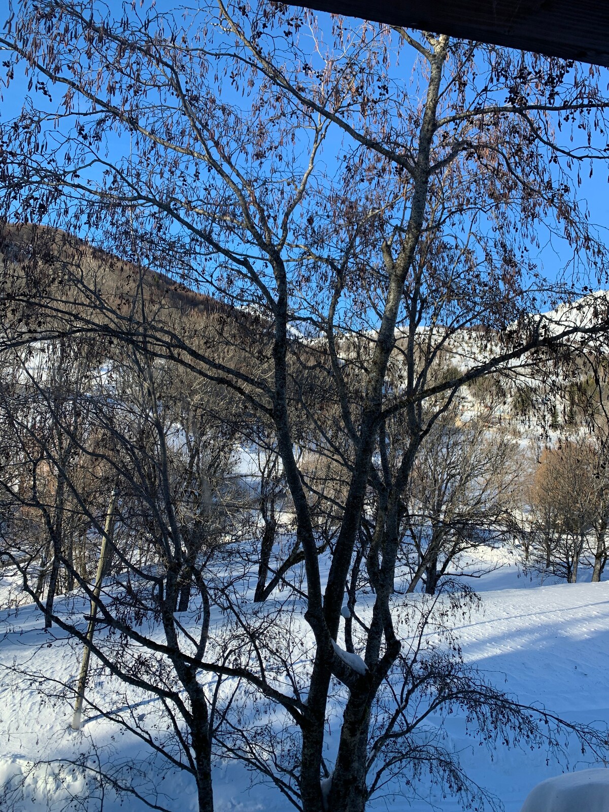 漂亮的山间度假木屋，徒步旅行，越野滑雪