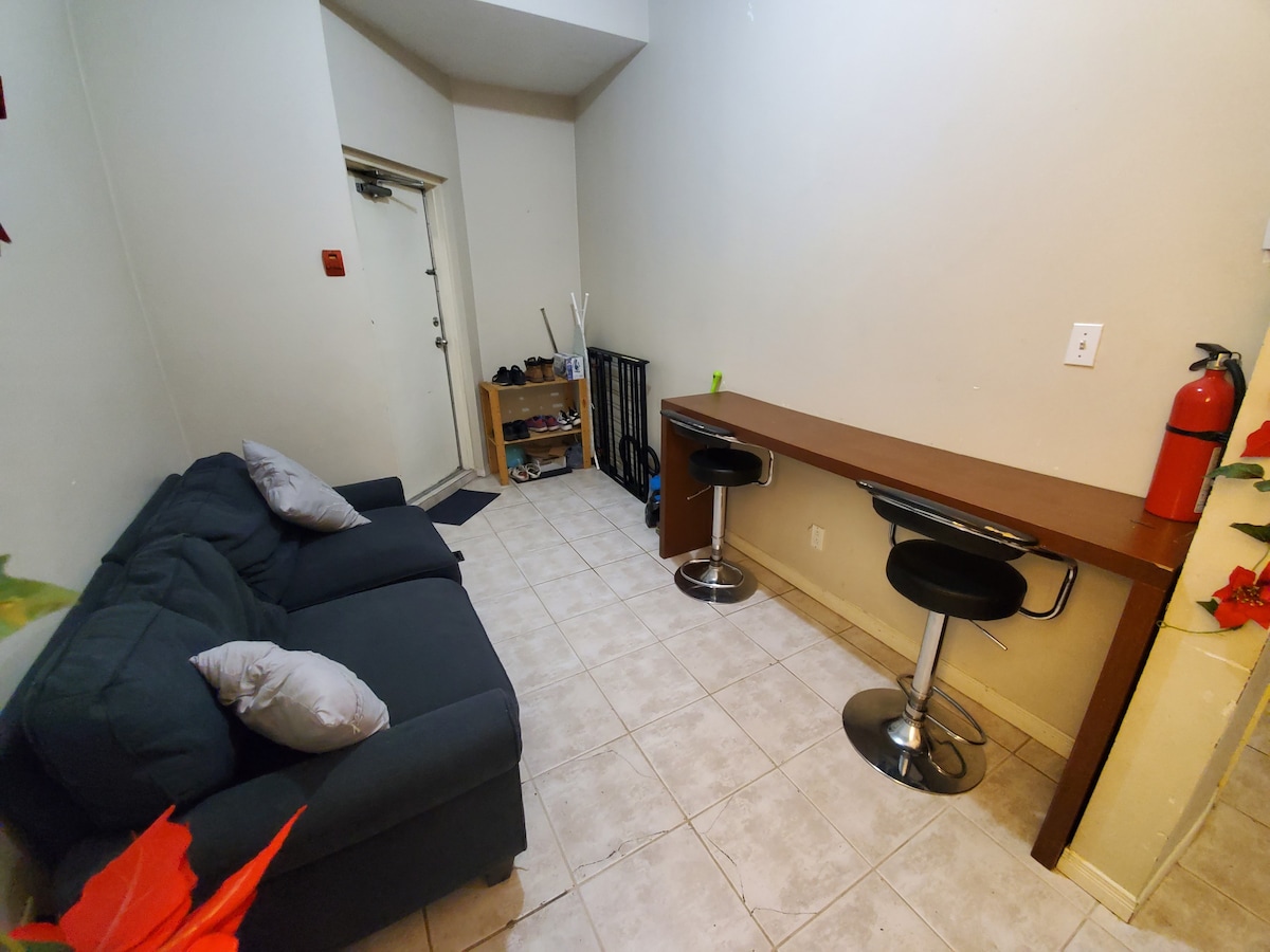 Large room in Downtown Toronto | Across UofT