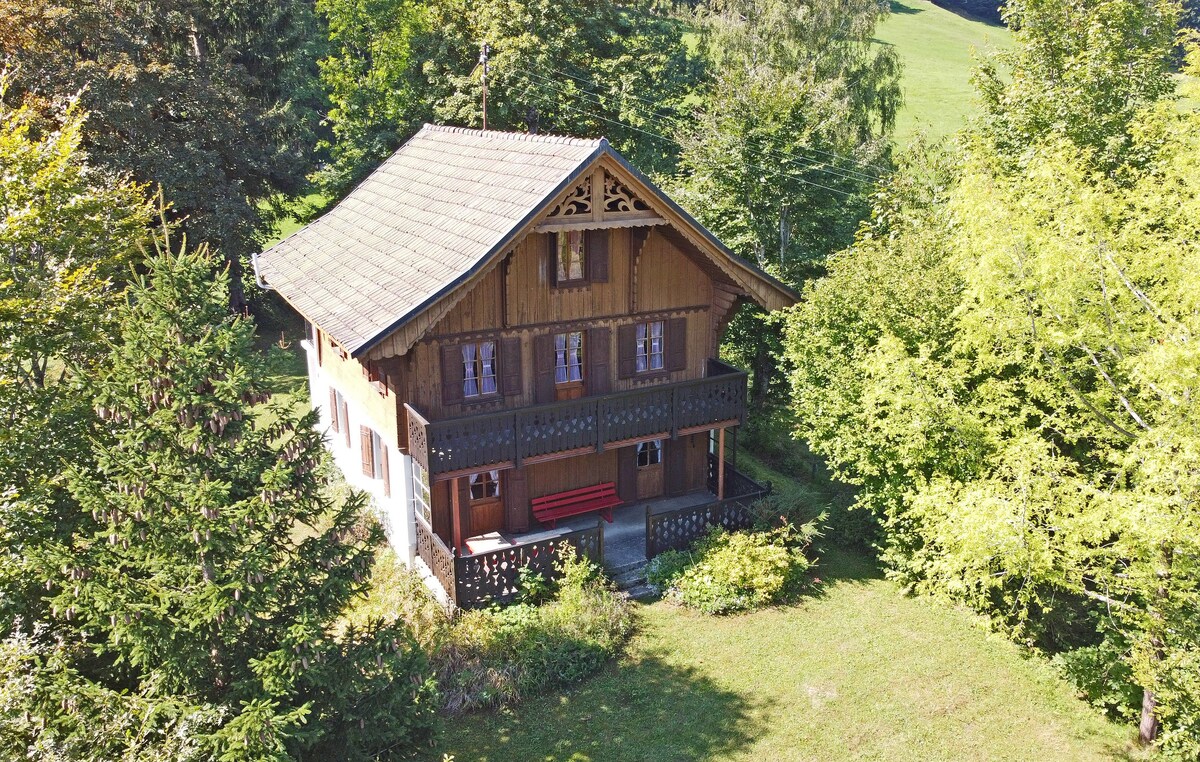 Chalet typique et rustique au cœur de la nature