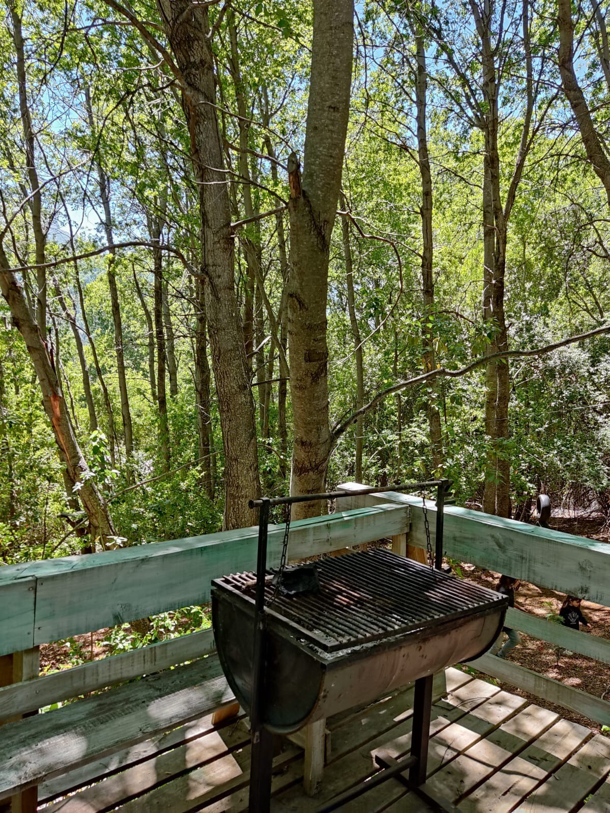 Casa de montaña, en medio del Bosque