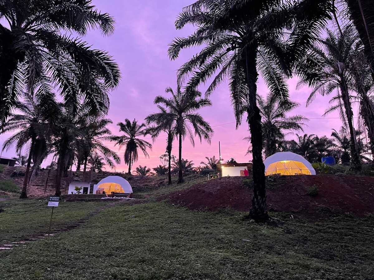 Finca Las Palmas Glamping & Camping