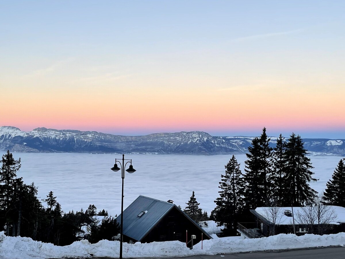 Charming T2 Résidence la Grive Chamrousse 50