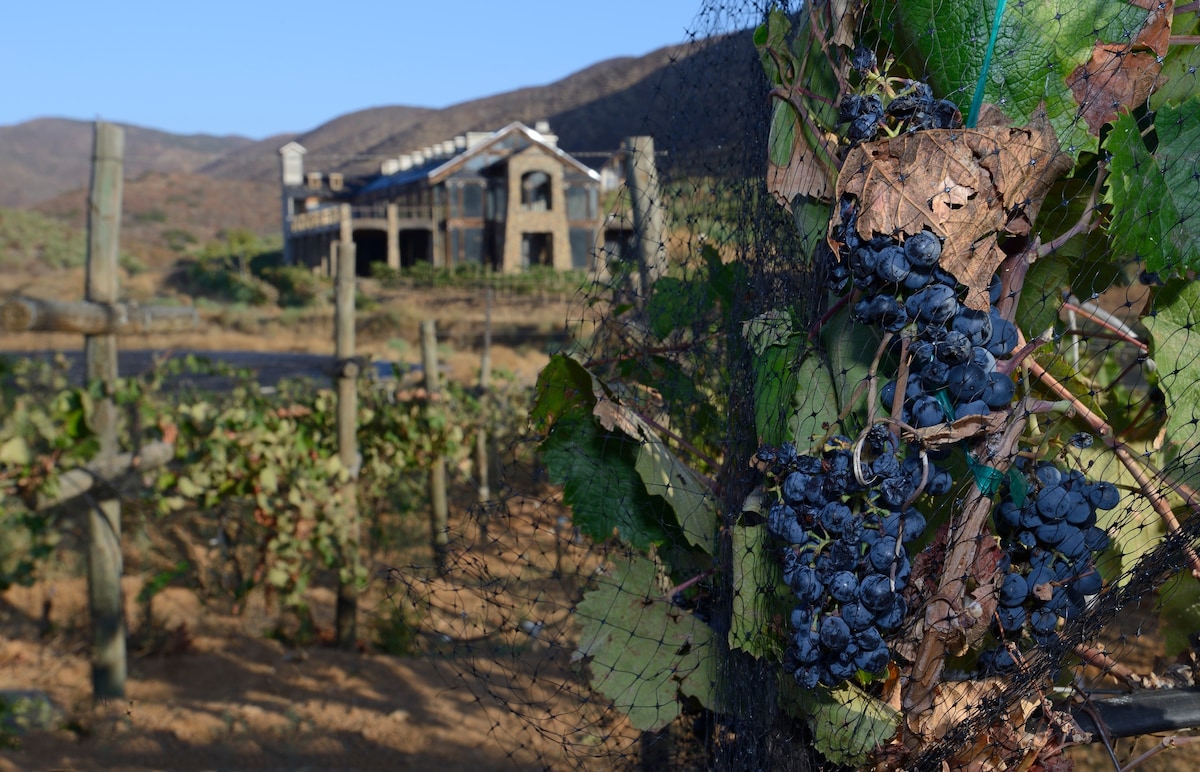 CABIN “GOLONDRINA” INSIDE 100 HA VINEYARD DOVINTO