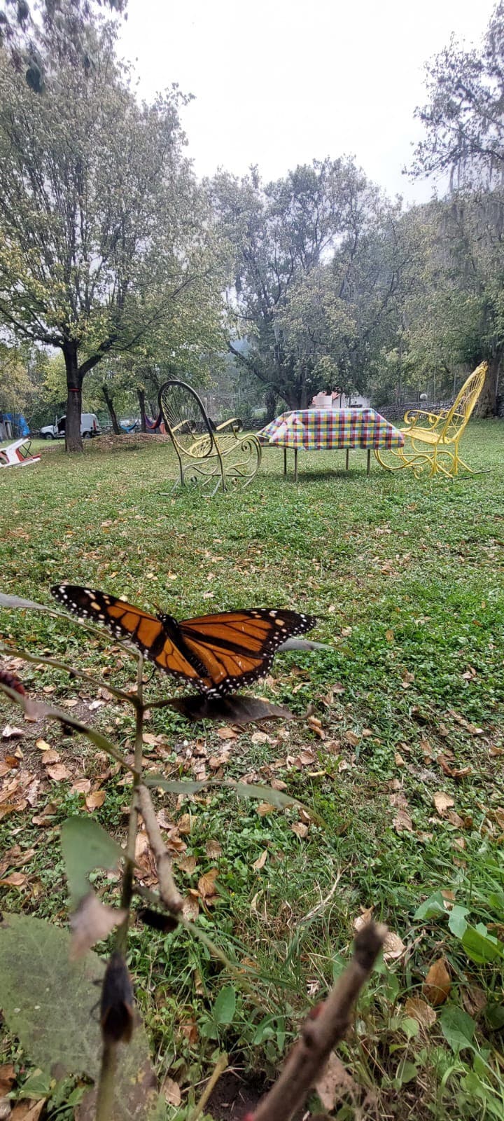 Campamento hermoso con fogatero