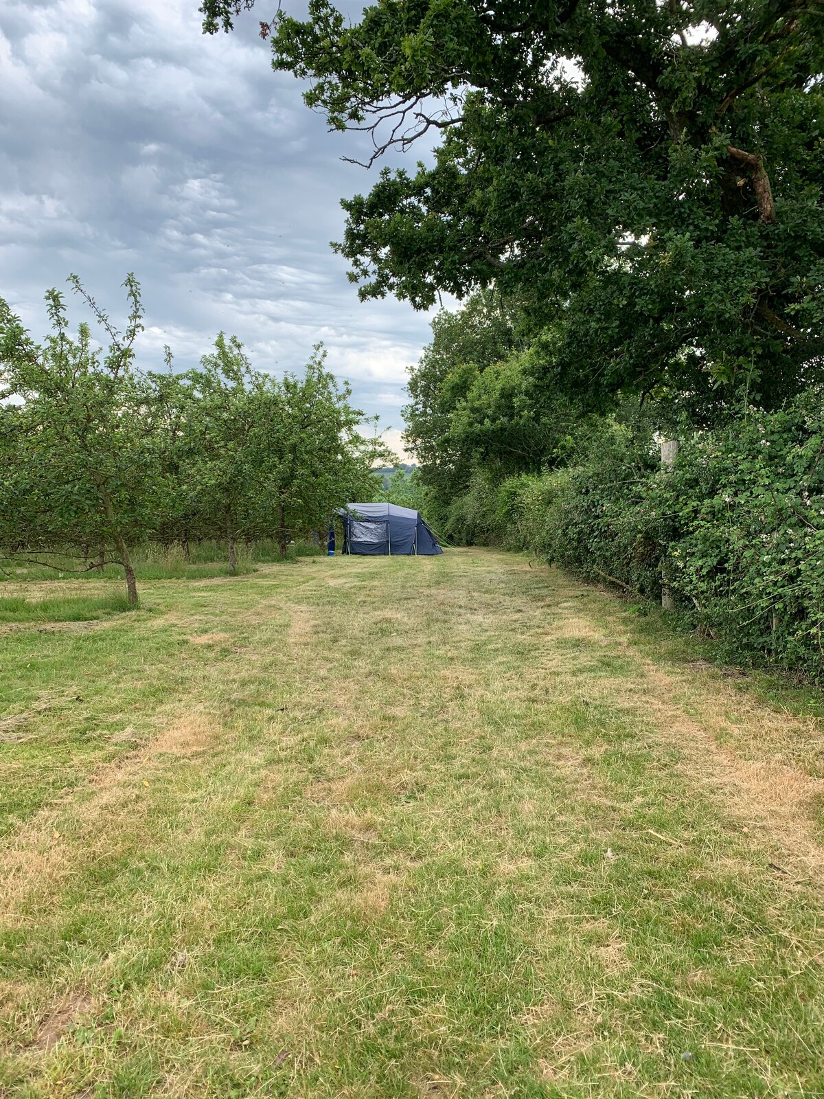 Tranquil Southwest Cider Orchard - Pitch 3