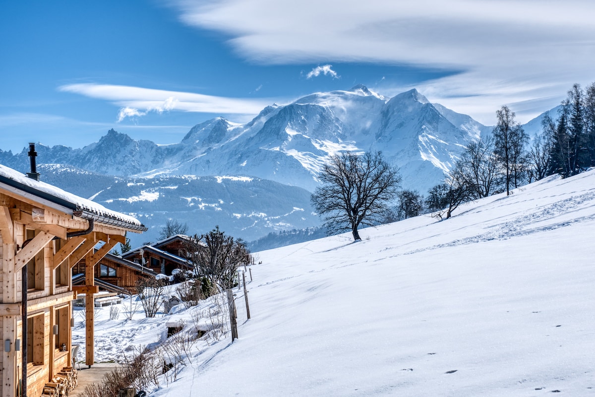 Chalet de luxe, jacuzzi, sauna, vue Mont-Blanc