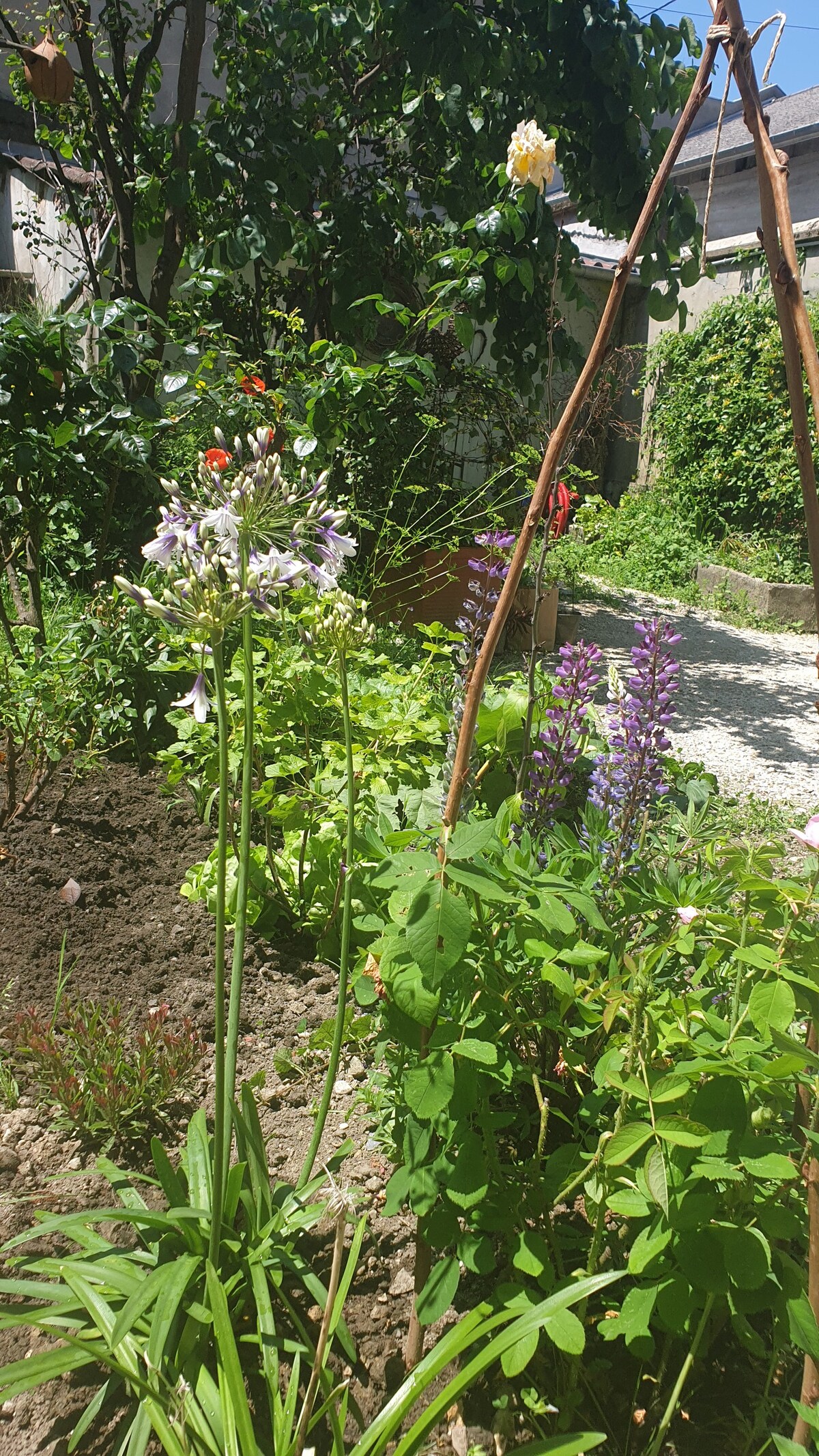 Maison très calme avec jardin en plein centre