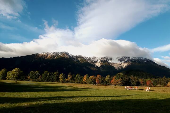 Puchberg am Schneeberg的民宿