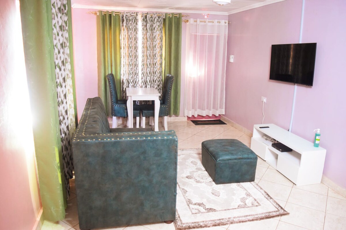 紫色绿色度假屋1卧室，免费无线网络Netflix和公园