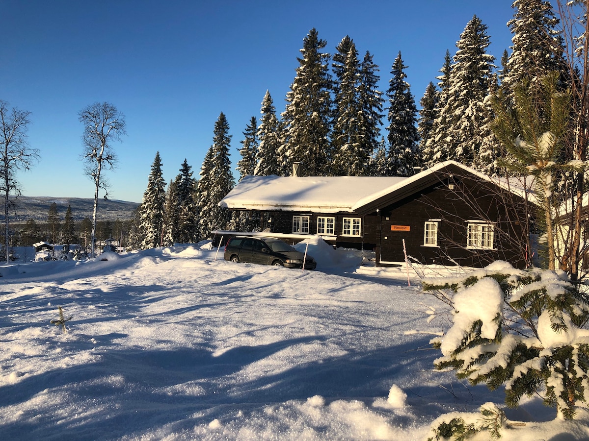 位于Fulufjellet/Trysil的舒适家庭小屋