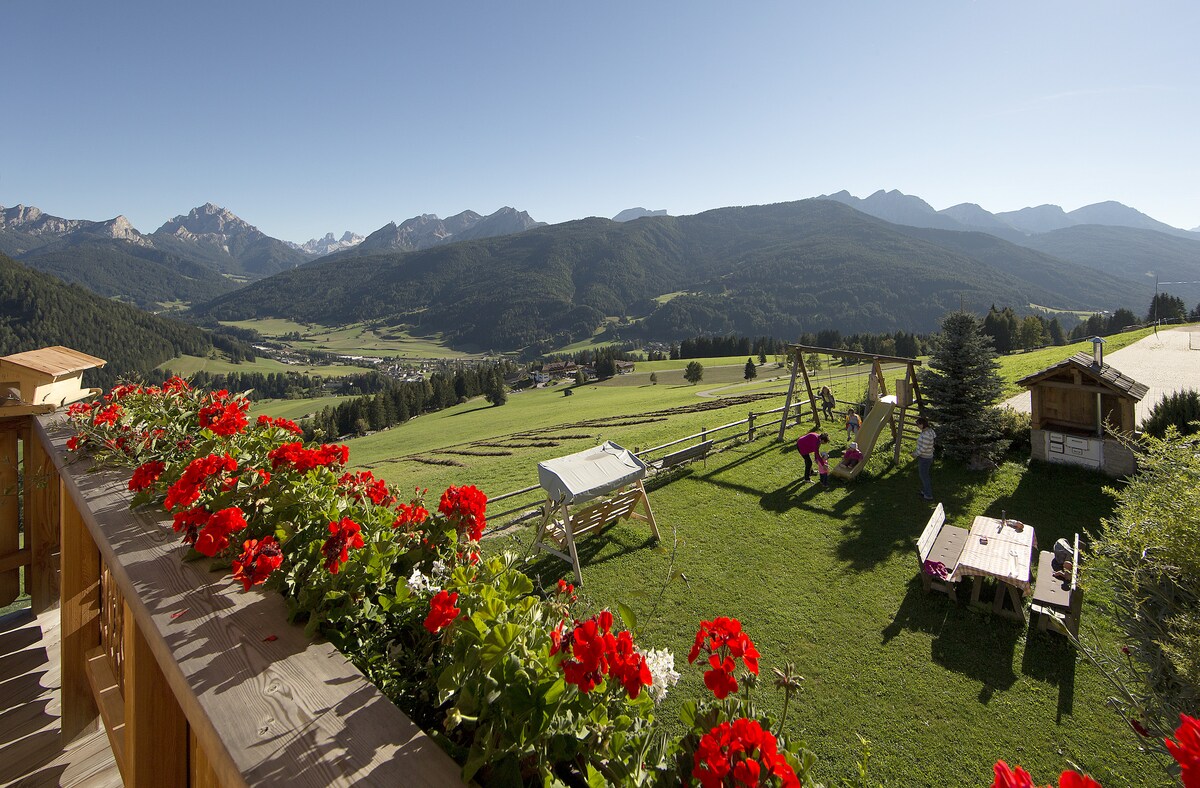 Kronplatzblick on the Unterguggenberg -farm