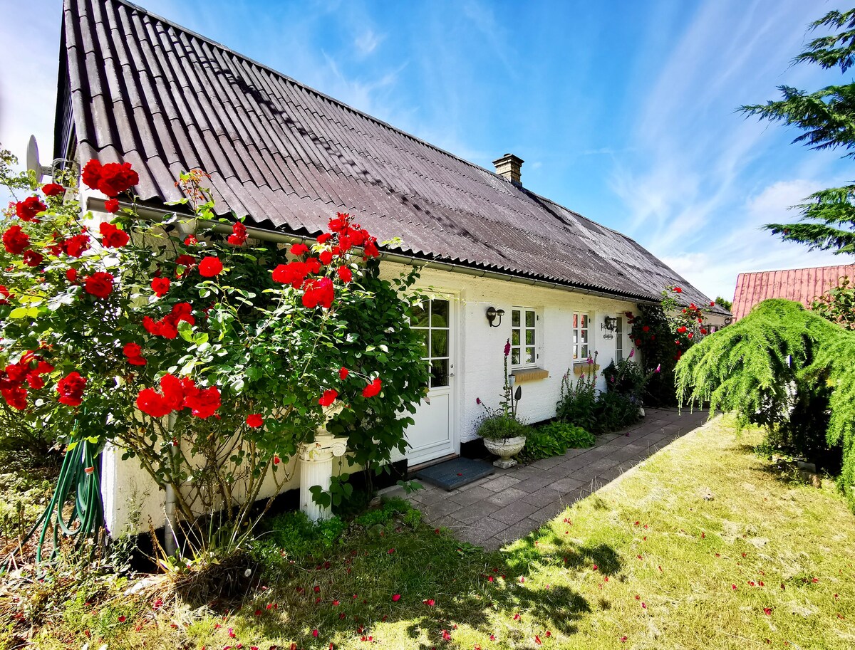 Landligt hus, skøn terrasse, Skandinavisk Dyrepark