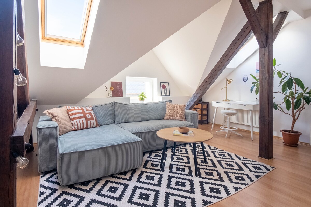 Lovely rooftop apartment in the center of Pilsen