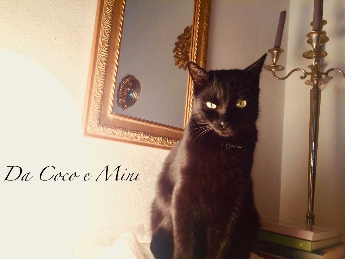 Da Coco e Mini, Maison des Chats.