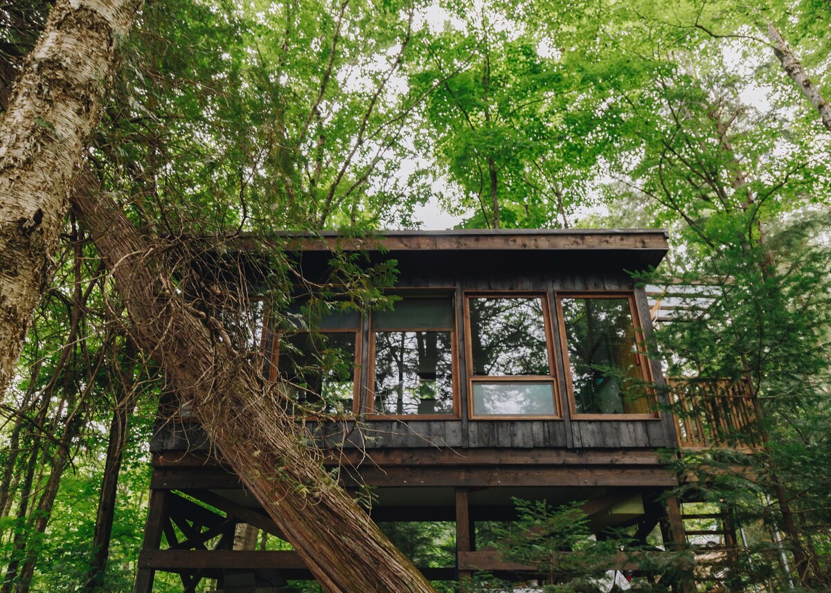 Journey's End - Contemporary Lakefront Treehouse