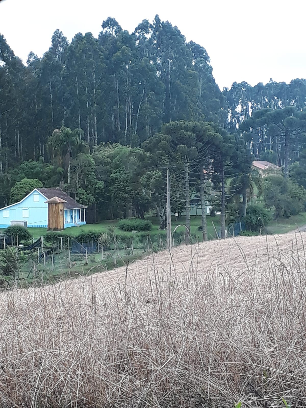 我想要一栋乡村的房子，在那里我可以种植我的朋友