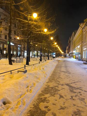 Saint Petersburg的民宿