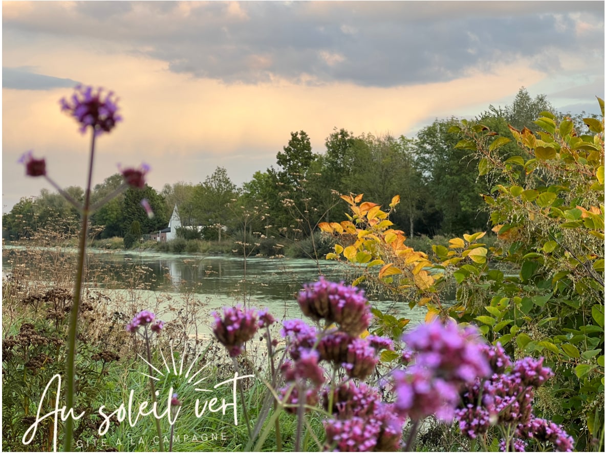 Le Soleil vert : Cottage cadre naturel privilégié