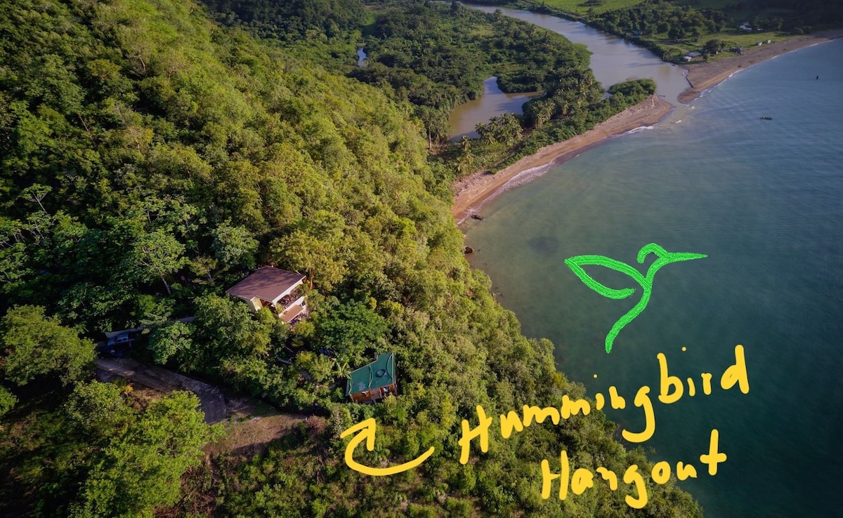 Hummingbird Hangout - Treehouse Marigot Bay