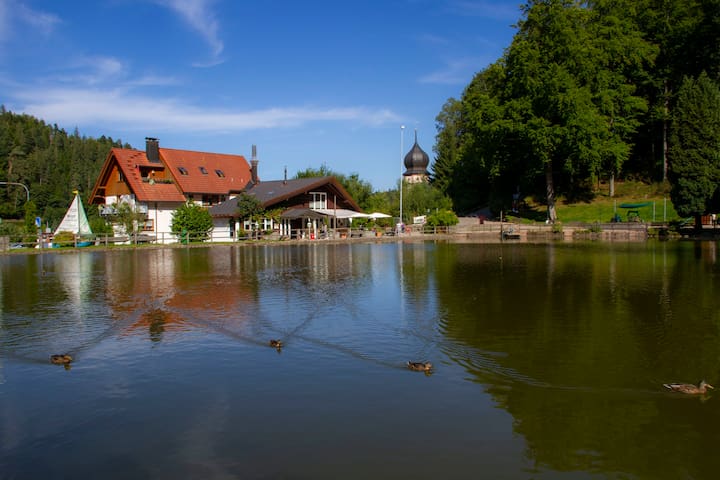 Triberg im Schwarzwald的民宿