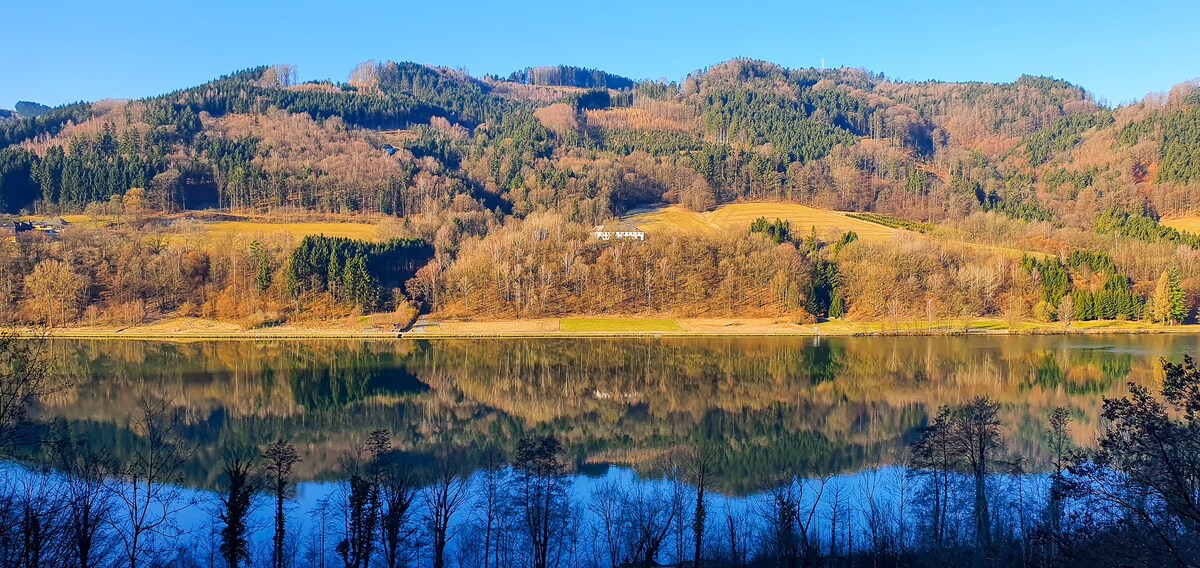 Donaublick别墅，适合亲朋好友入住