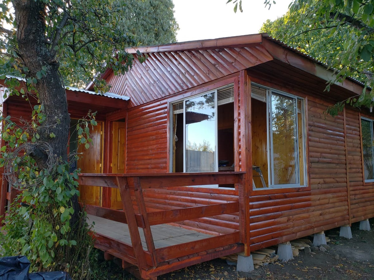 舒适的小木屋，被大自然包围。