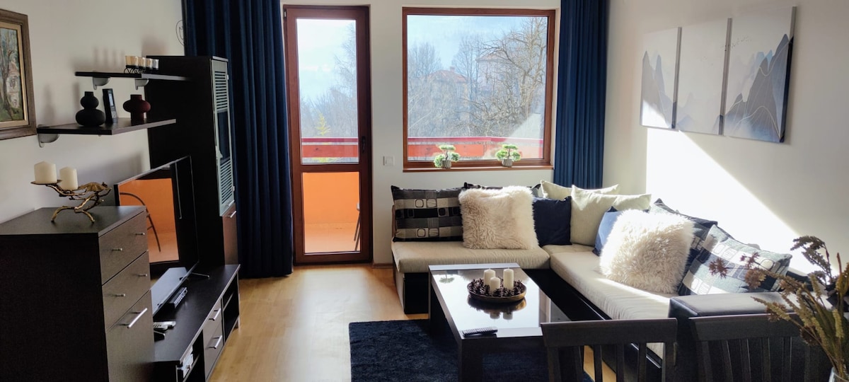 Stylish 1BR Apartment with Mountain View