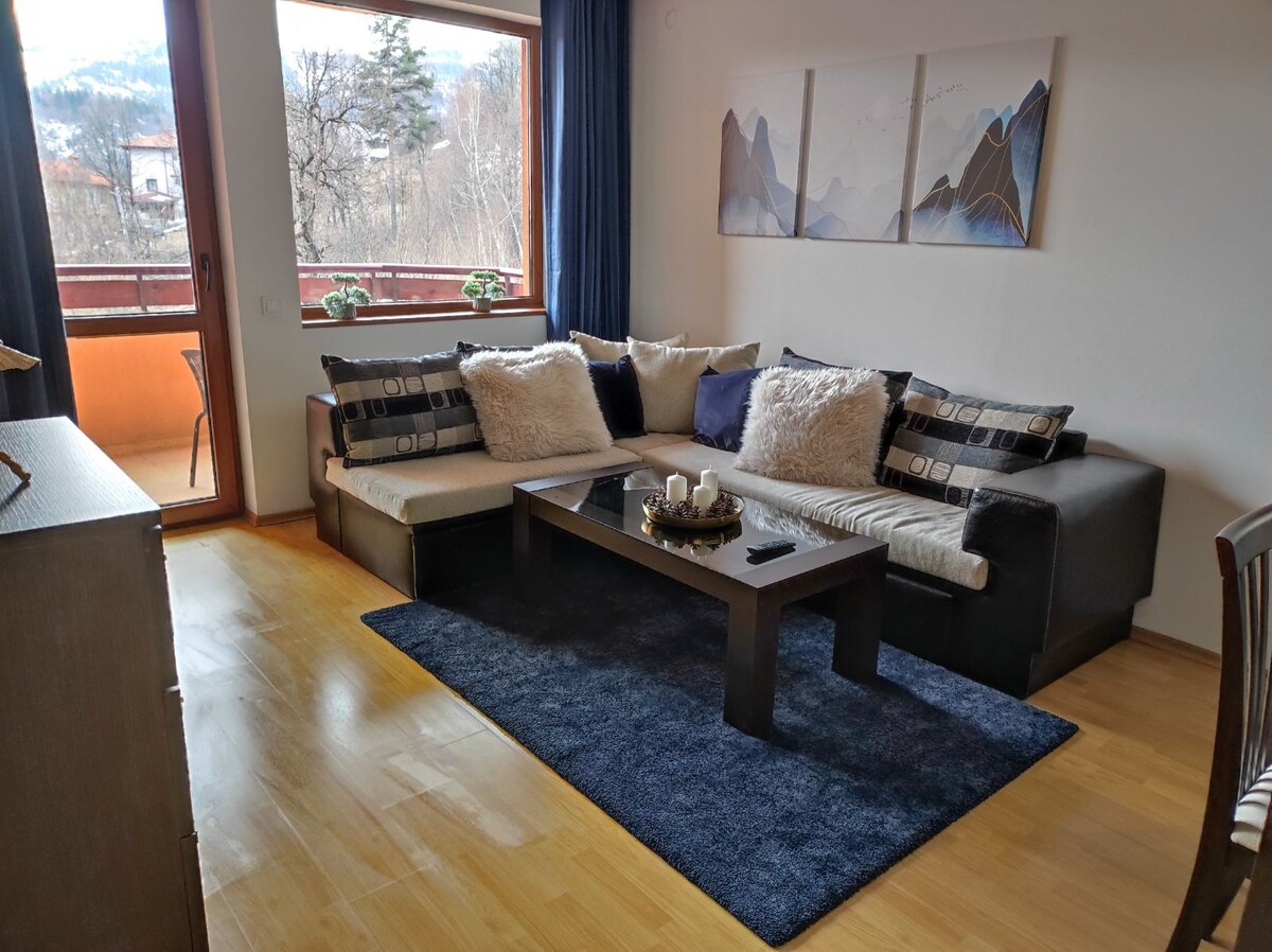 Stylish 1BR Apartment with Mountain View
