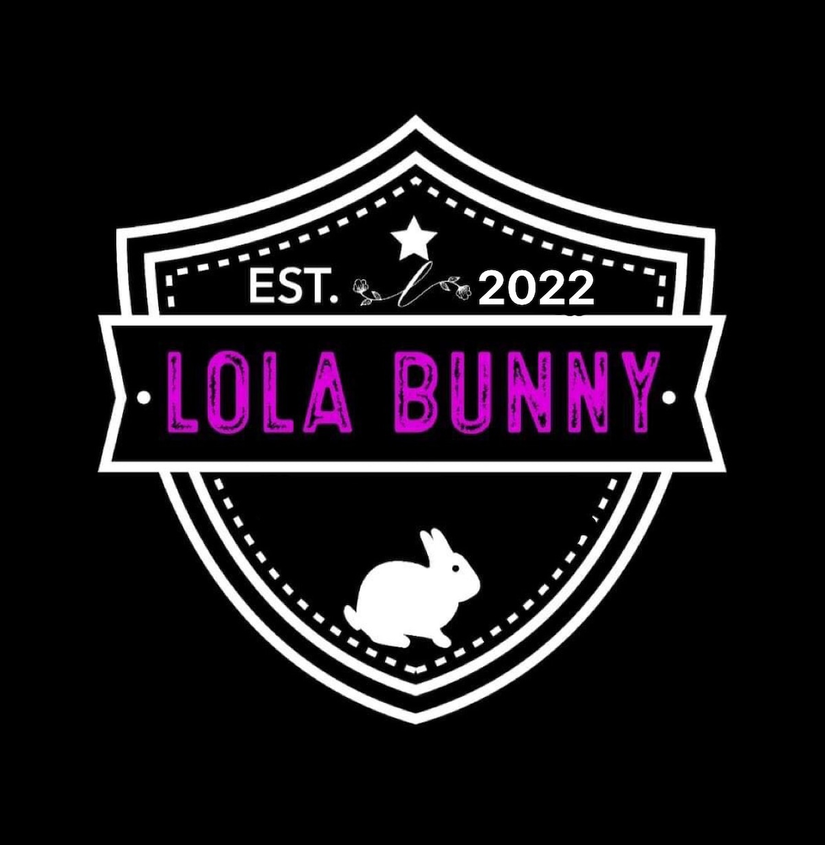 Lola Bunny Home配备50 mbps无线网络和Netflix