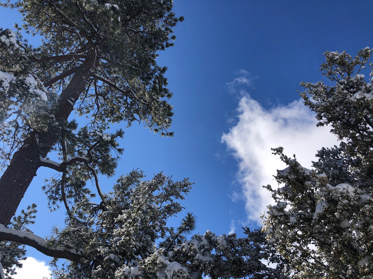 安静的山间度假胜地……风景的变化