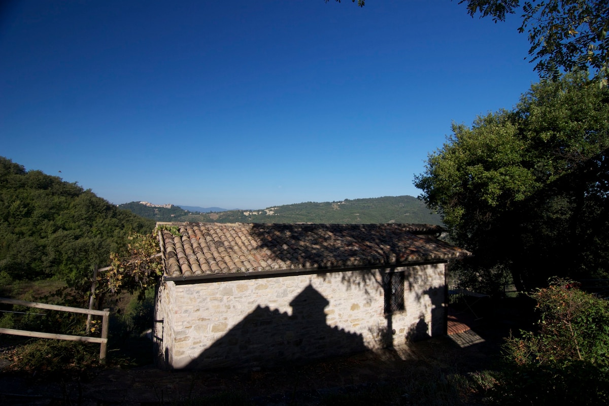 Campo della Fiora - Cottage with panoramic views