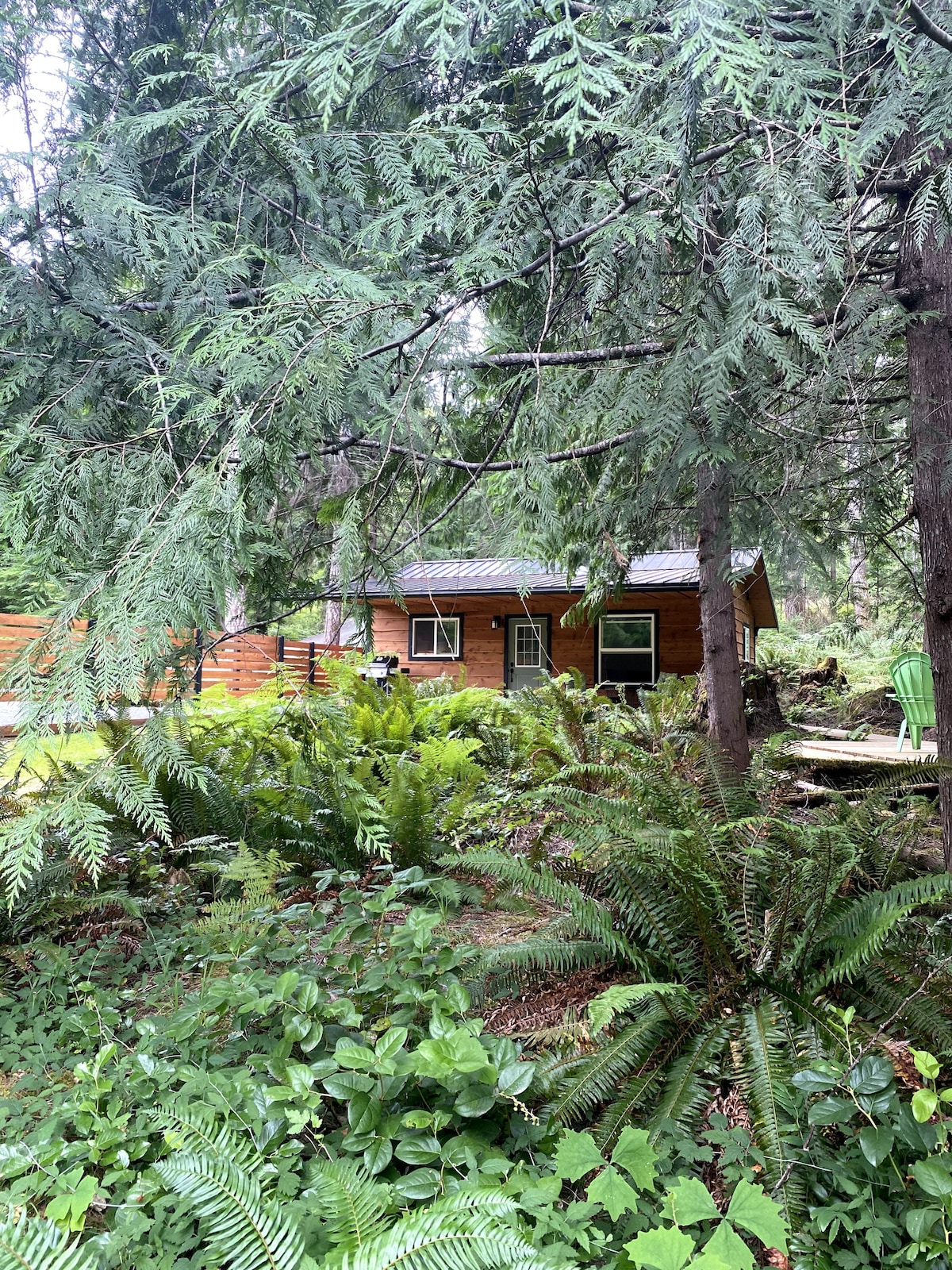 森林和水疗小屋中的雪松木小木屋