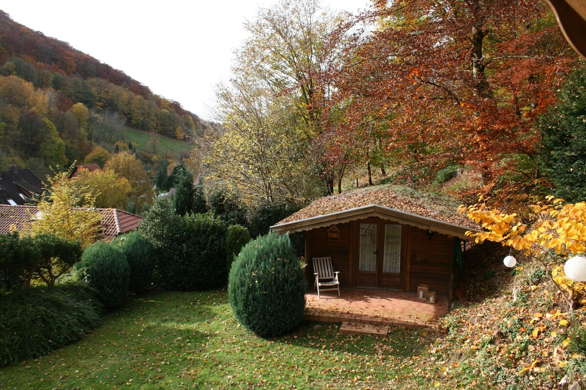 哈尔茨（ Harz ）舒适的公寓，配有壁炉和景观