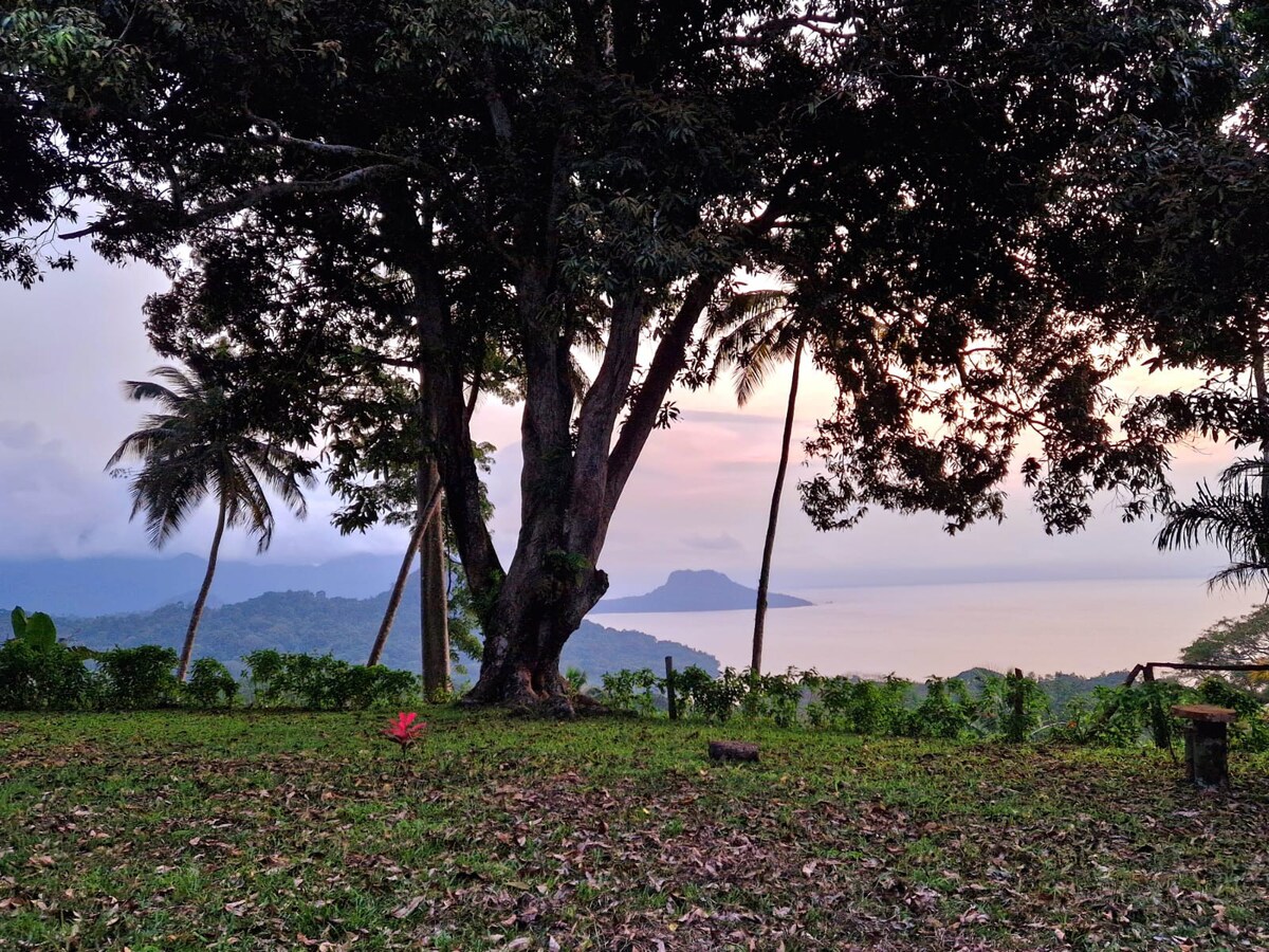 Worlds View, remote, romantic rainforest paradise.