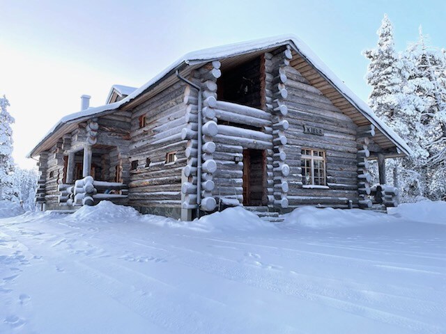独特而独特的大雪橇草坪房屋