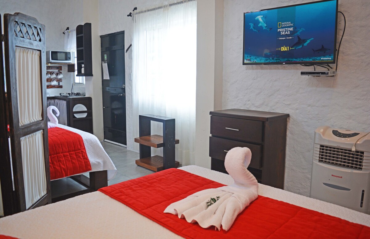 Suite Deluxe cerca a Playa Mann