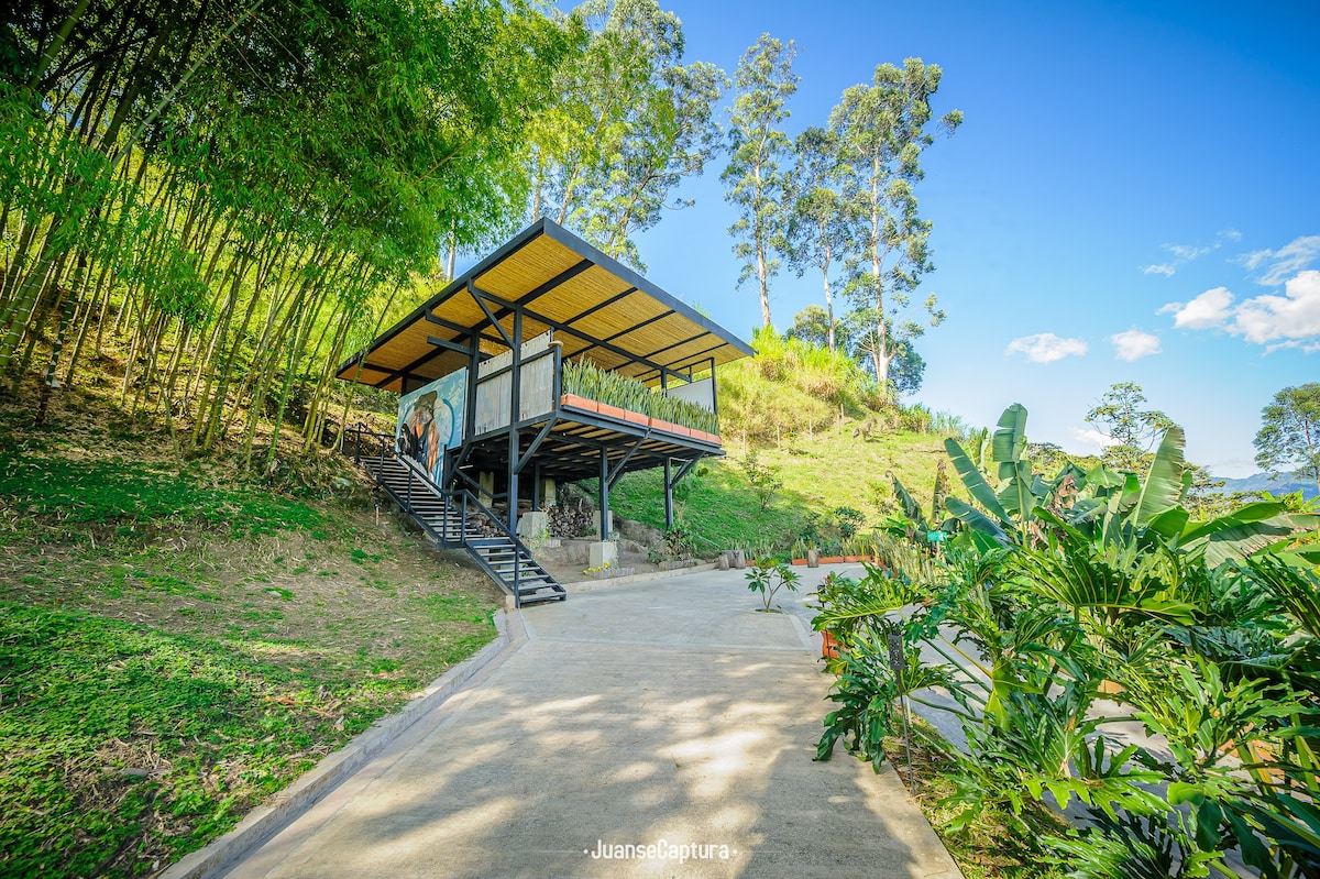 Natural mallku: Cabaña condor