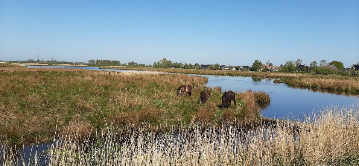 Landelijk gelegen B&B bij prachtig natuurgebied