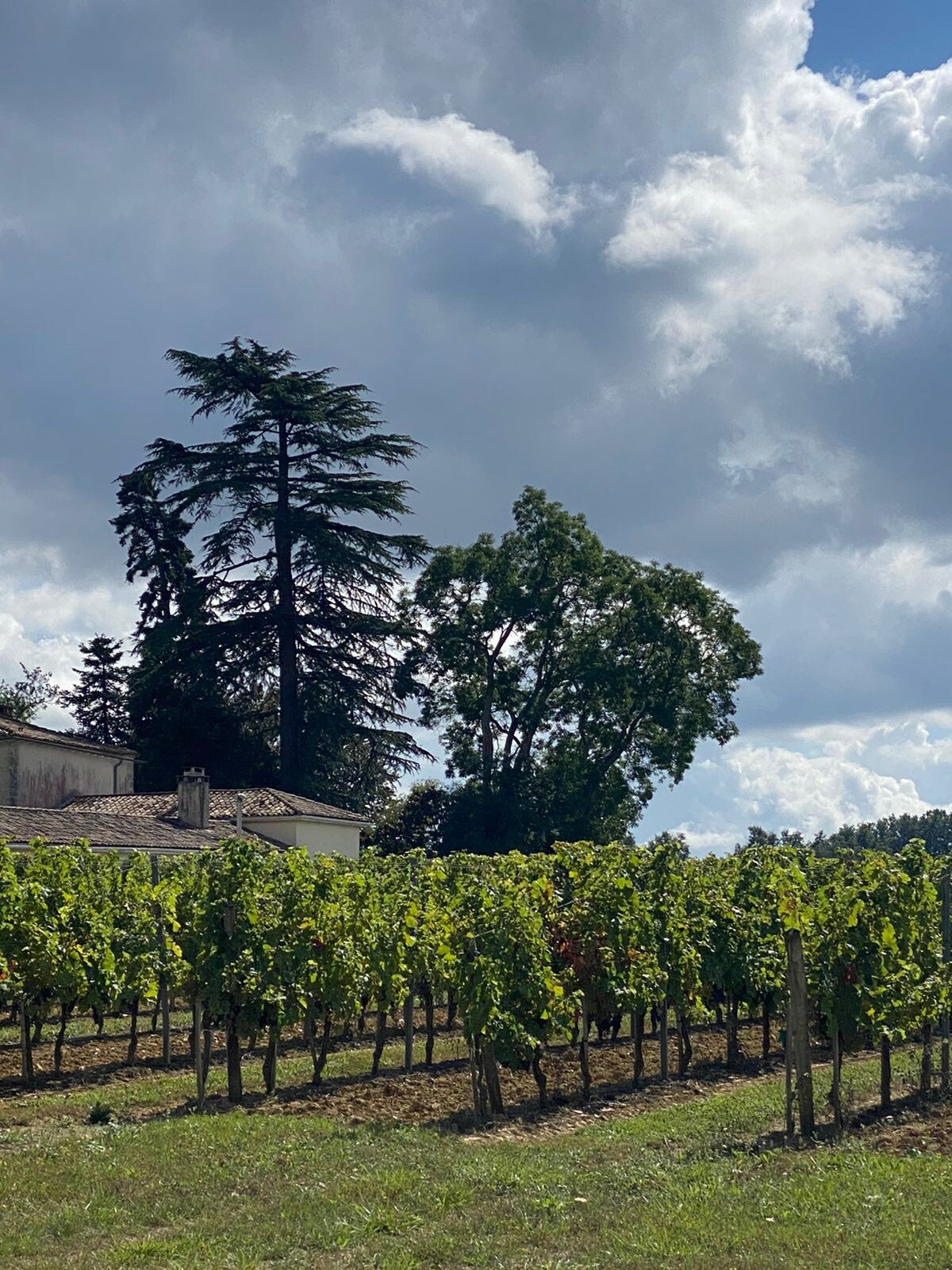 La Maison L'Eperon 5* villa near Saint Emilion