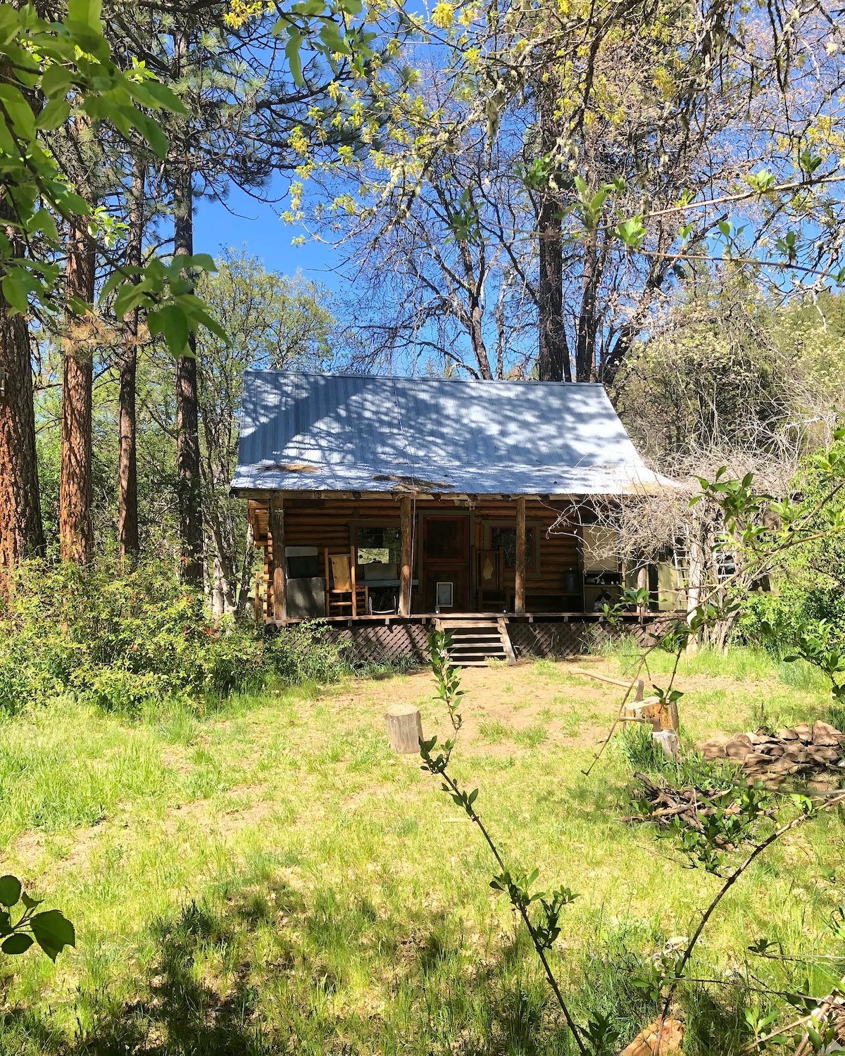 被大自然包围的田园诗般的小木屋