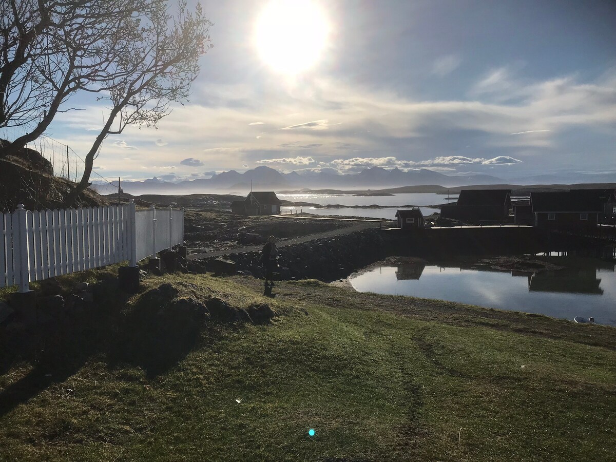 Trivelig hytte på Helgelandskysten.