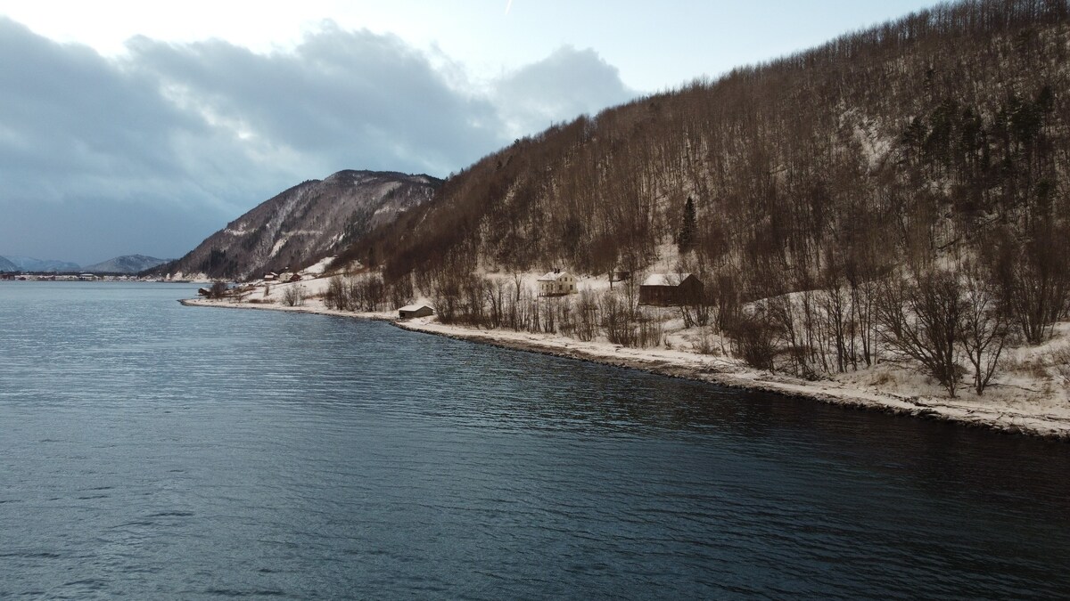 Salten峡湾（ Salten fjord ）的传统木屋