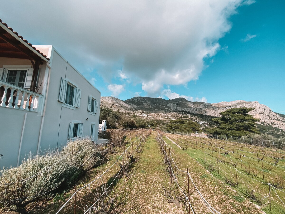 Hikers Inn by the Pini vineyards of Karpathos