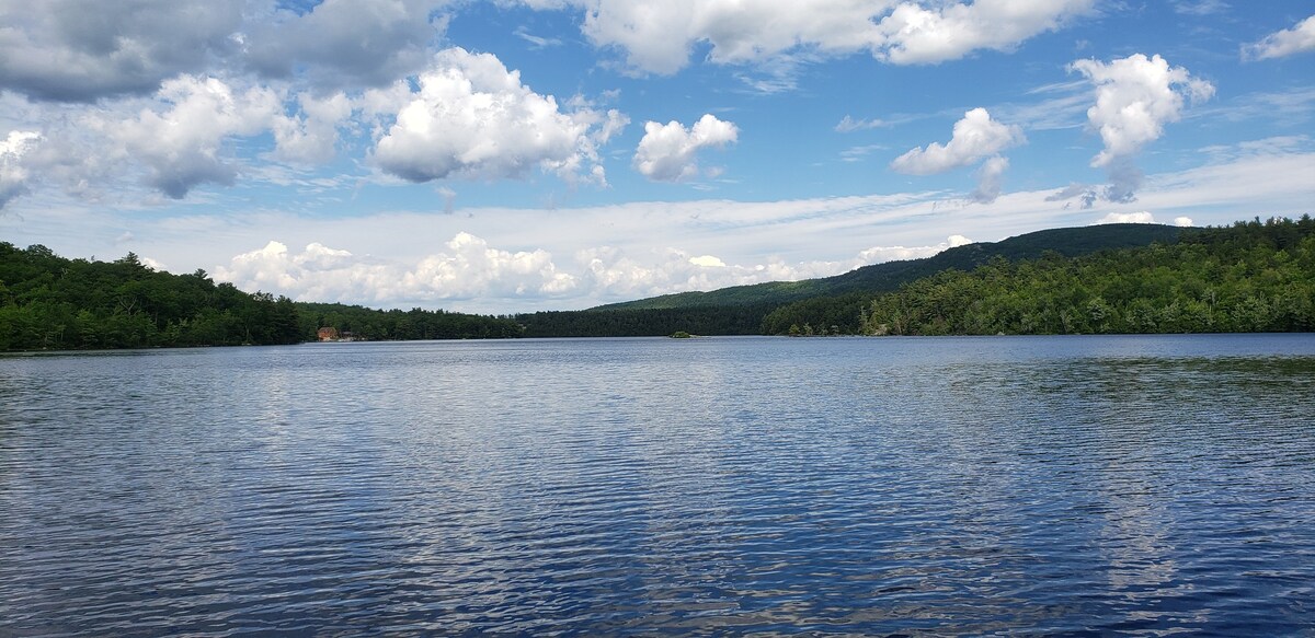 Tallpine at Augur Lake