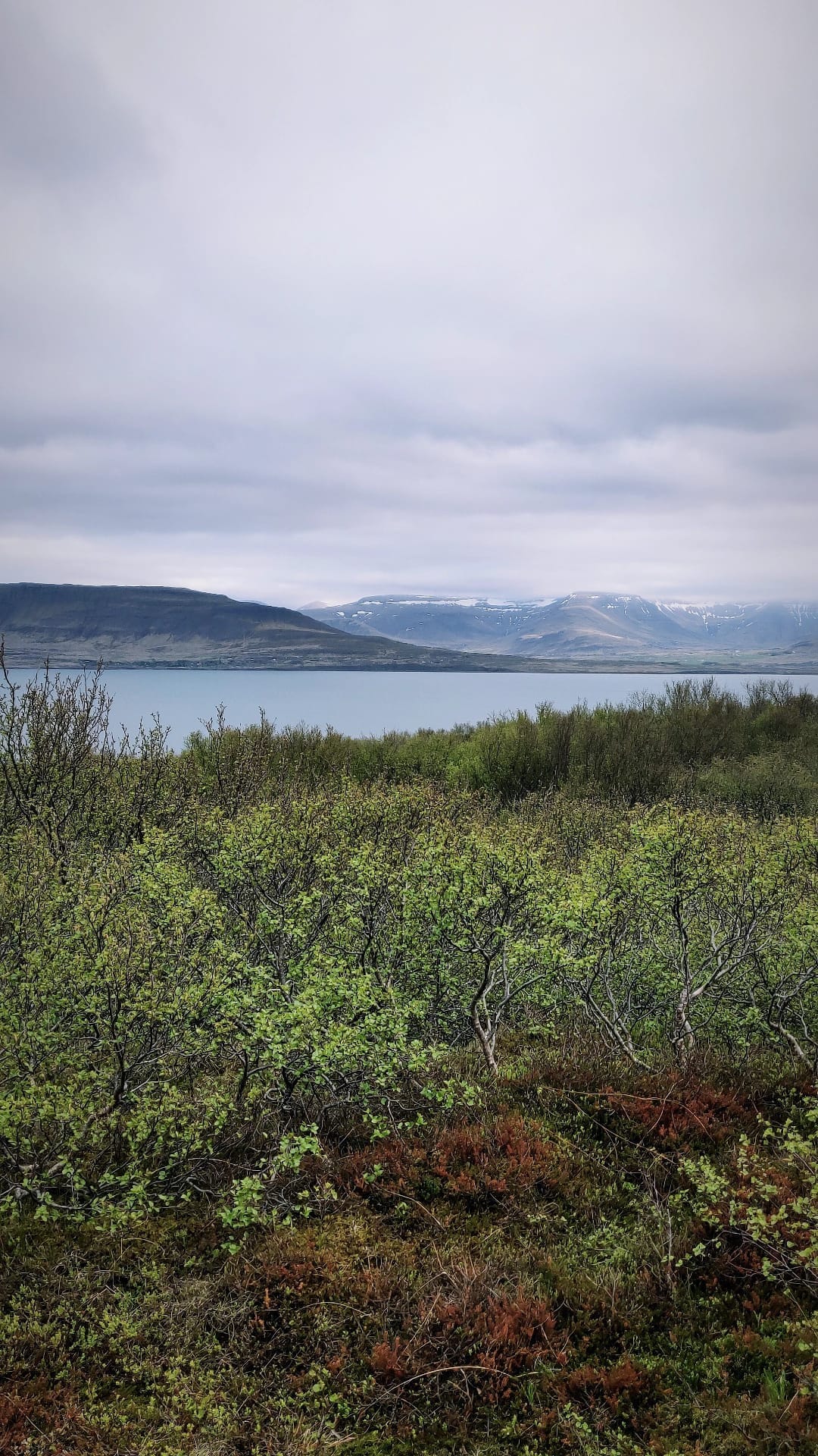 Hytte med fjordudsigt i Hvalfjörður