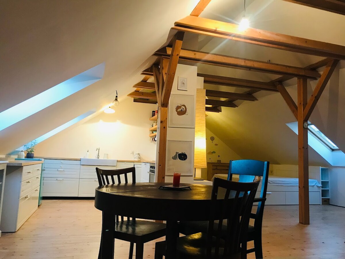 Bubljana House - Loft