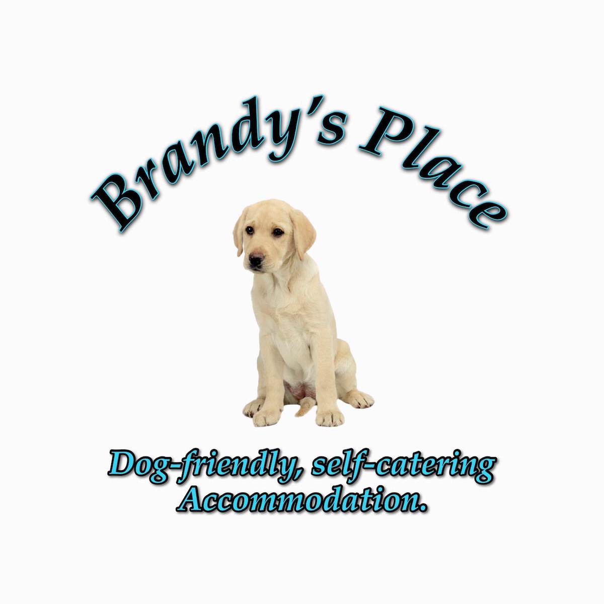 白兰地广场（ Brandy 's Place ）狗友好型自炊。