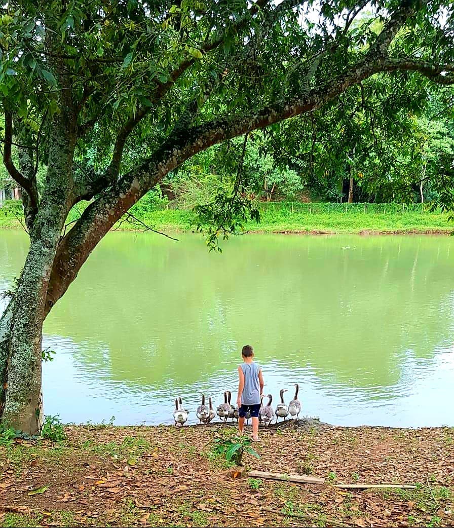 Bosque do Itaoca - Beira do Rio, Lago, Mata Nativa