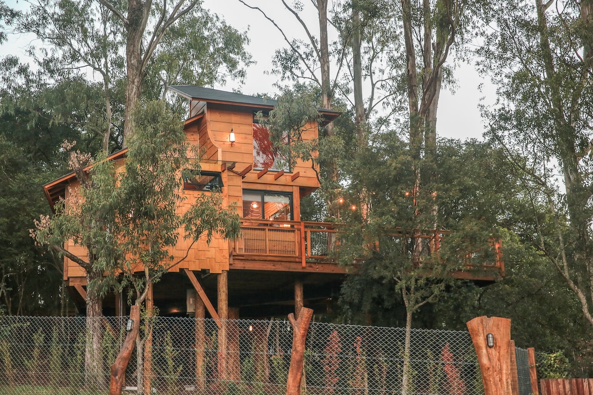 Casa na Árvore Morada dos Vagalumes