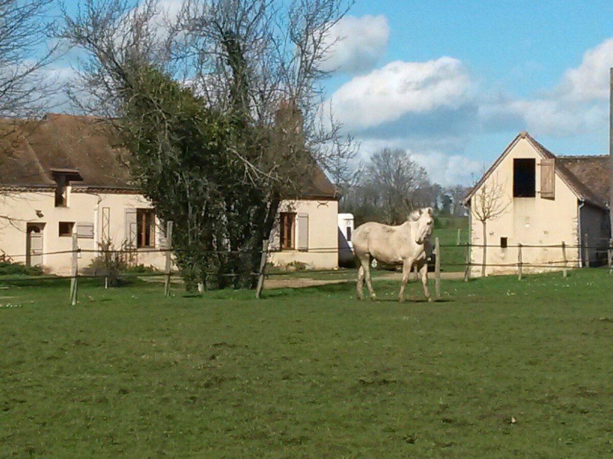 Près Circuit du Mans,  2 chambres d'hôtes au calme